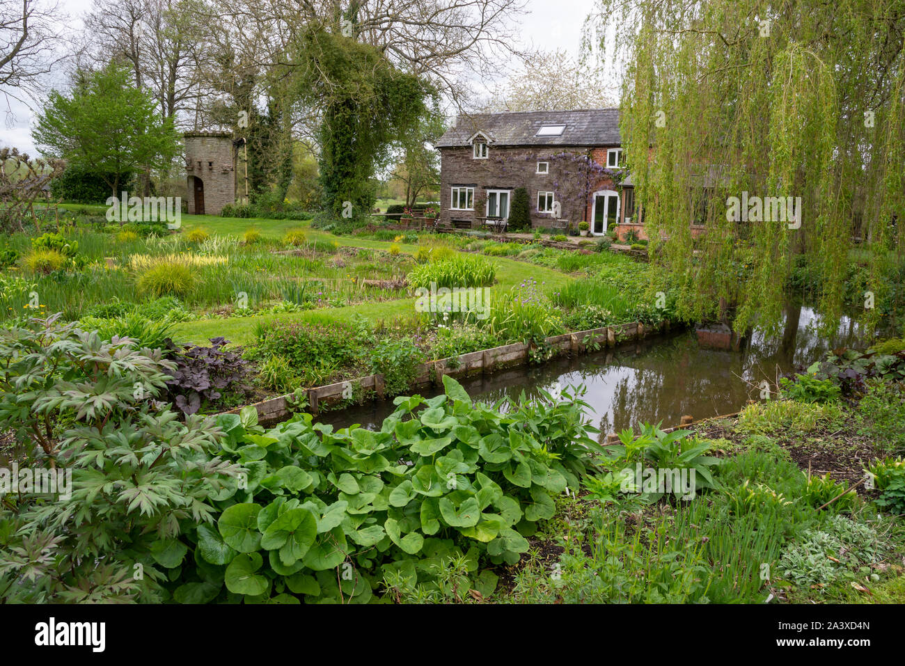 Westonbury Mill water gardens, Herefordshire, England. Stock Photo