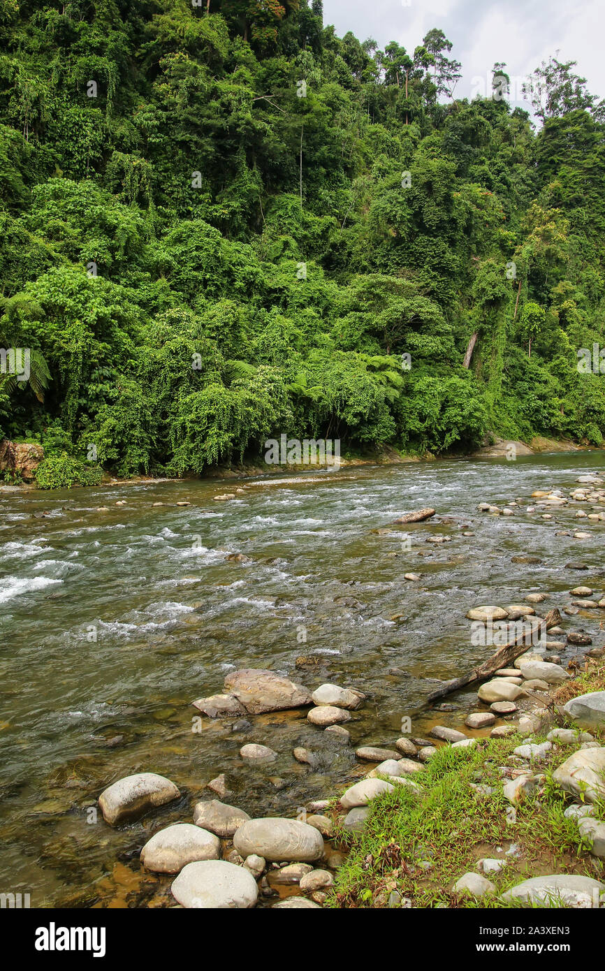 Bahorok River near Bukit Lawang village in North Sumatra, Indonesia. Stock Photo