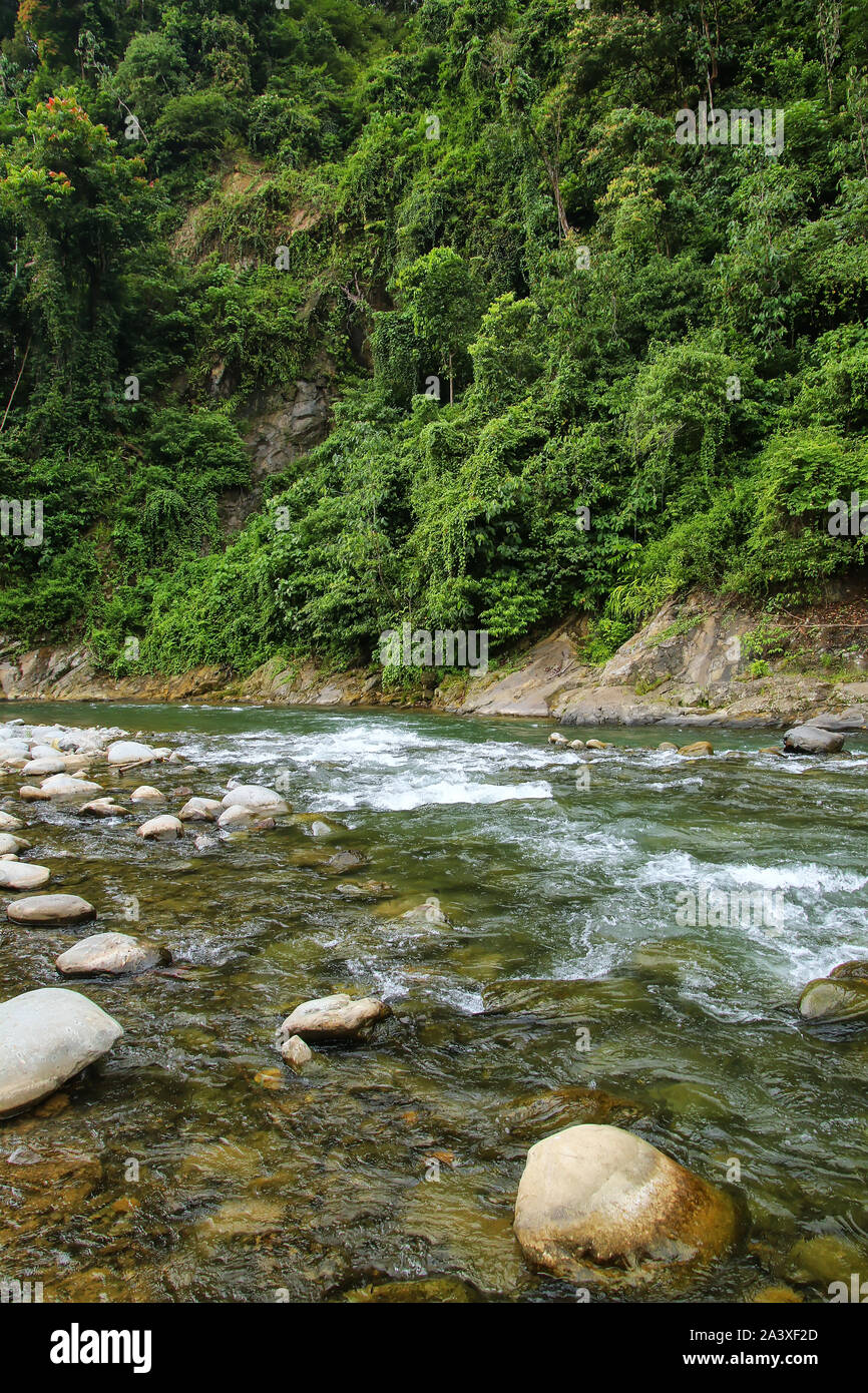 Bahorok River near Bukit Lawang village in North Sumatra, Indonesia. Stock Photo