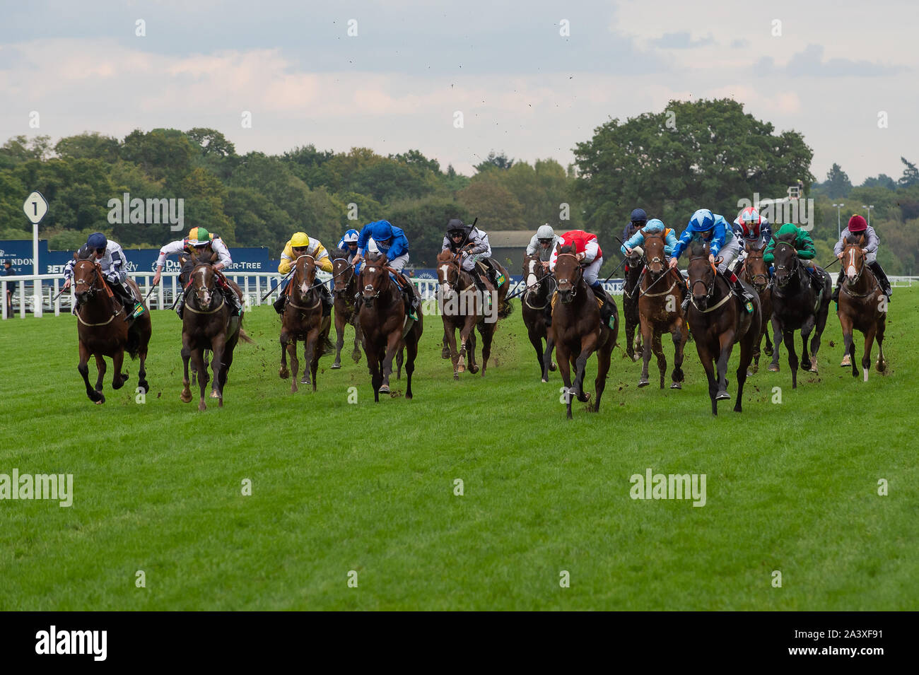 Autumn Racing Weekend & Ascot Beer Festival, Ascot Racecourse, Ascot, Berkshire, UK. 5th October, 2019. Credit: Maureen McLean/Alamy Stock Photo