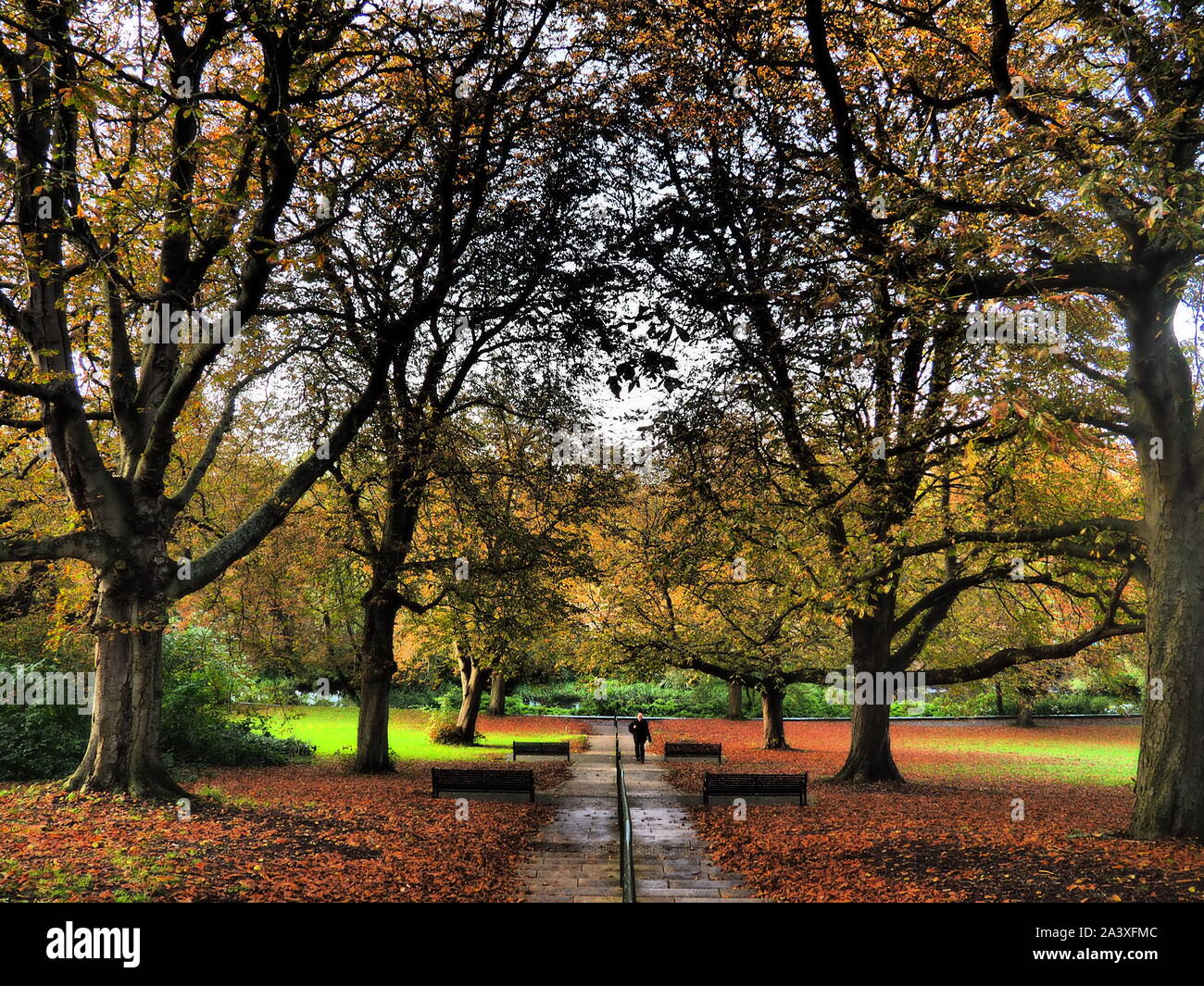 The colours of nature hi-res stock photography and images - Alamy