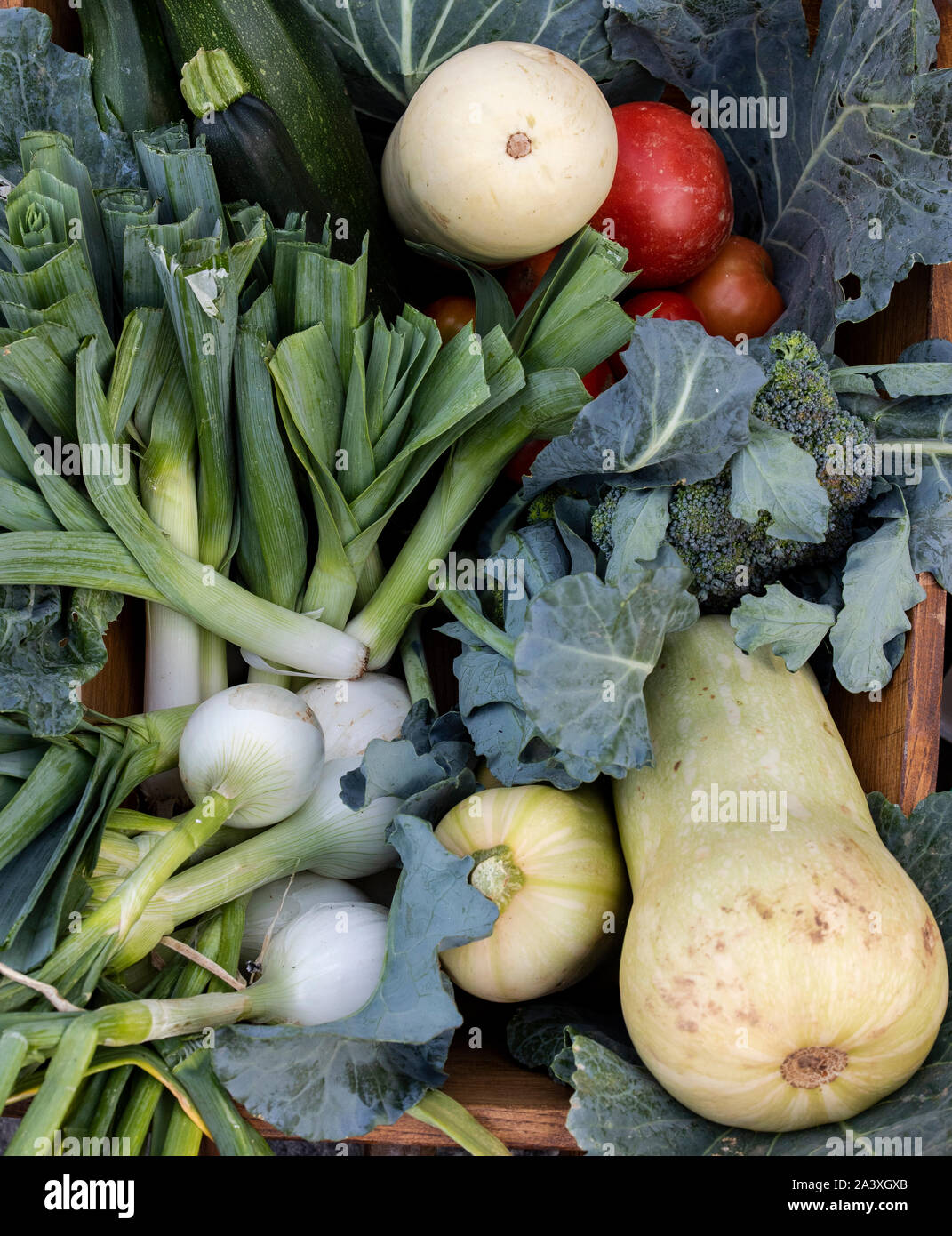Vegetables in the local organic products market Stock Photo