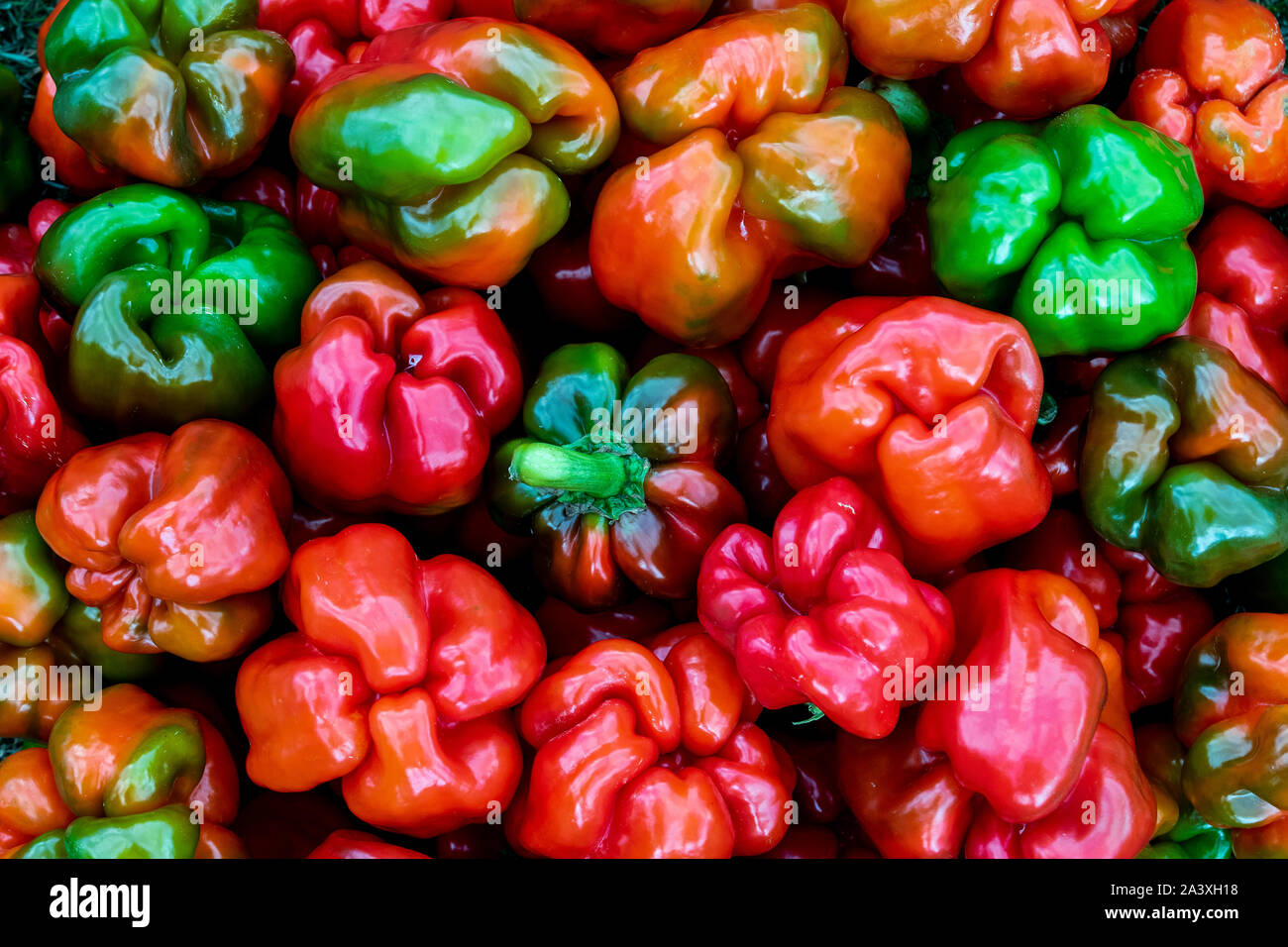 Organic ripe peppers in different colors are shown as background in a pattern of fresh ingredients for a healthy meal Stock Photo