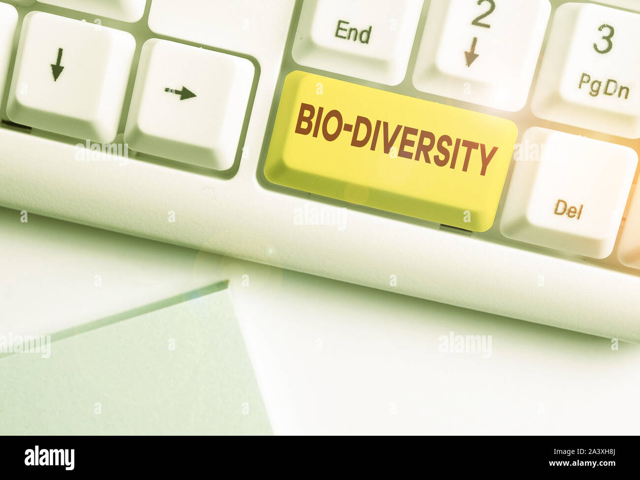 Writing note showing Bio Diversity. Business concept for Variety of