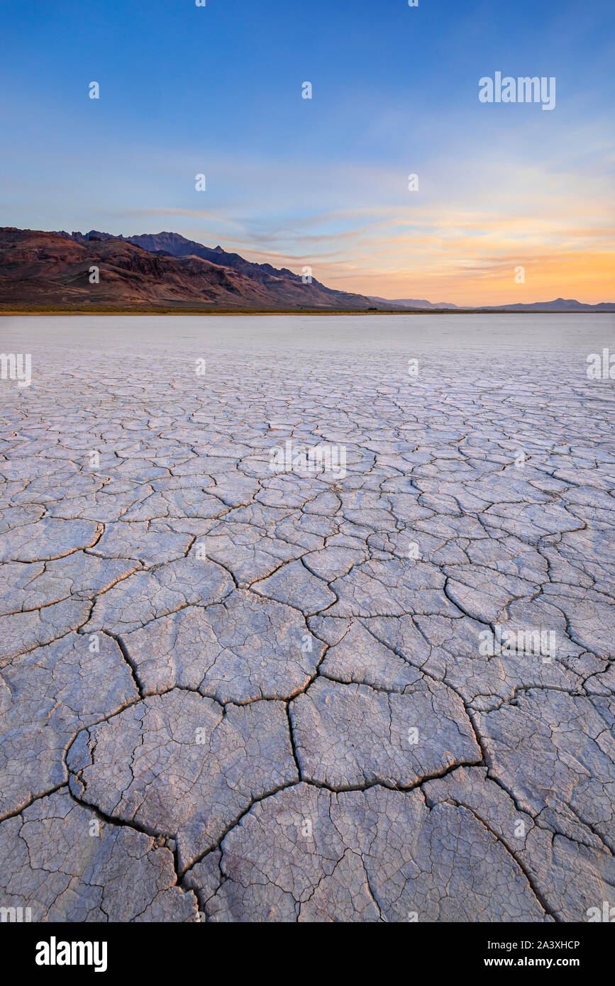 Cracked mud on the Alvord Desert in eastern Oregon with Steens Mountain rising above the playa. Stock Photo