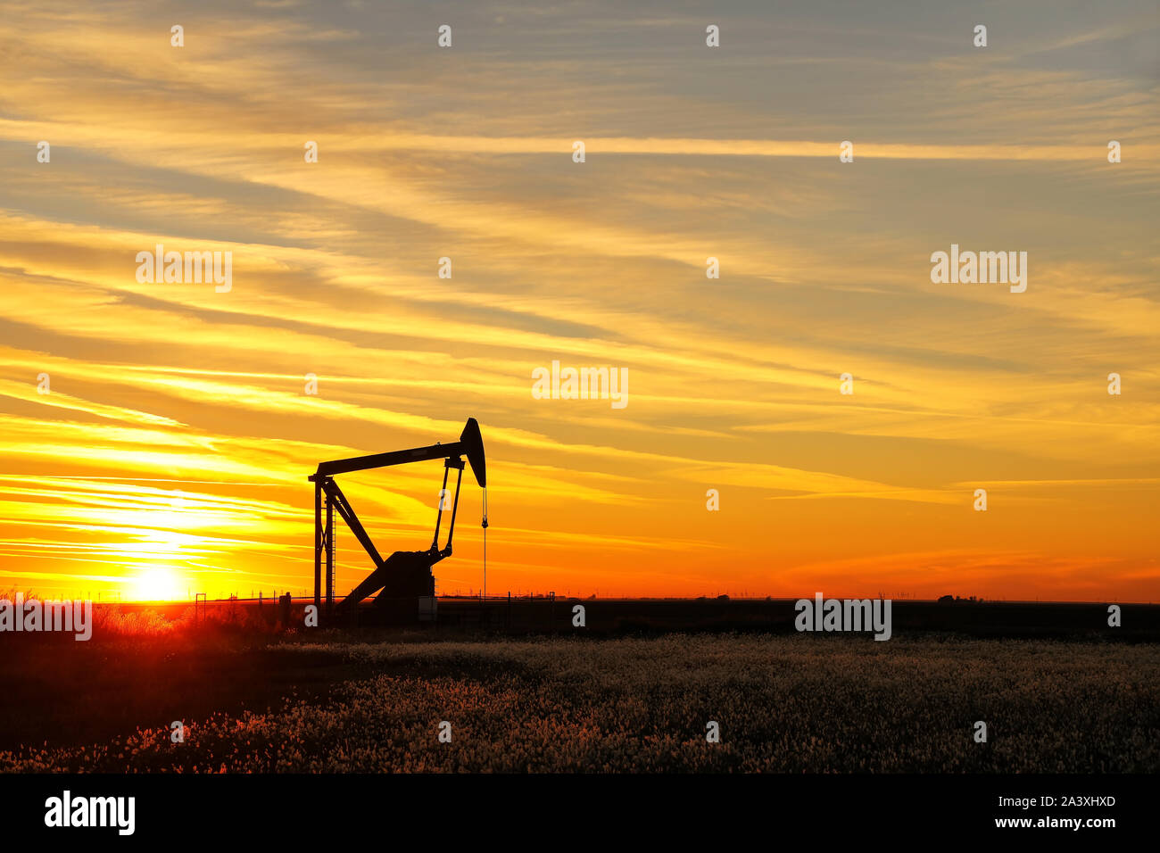 Silhouetted pump jack in the oil field at sunset Stock Photo Alamy
