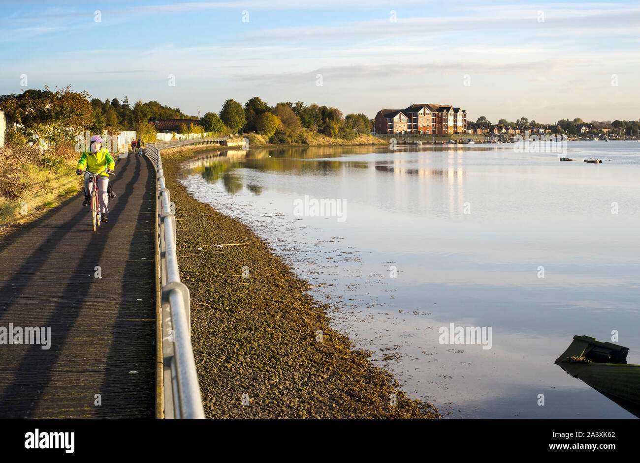 The Itchen Riverside Boardwalk alongside the River Itchen between St Denys and Northam in Southampton. Stock Photo