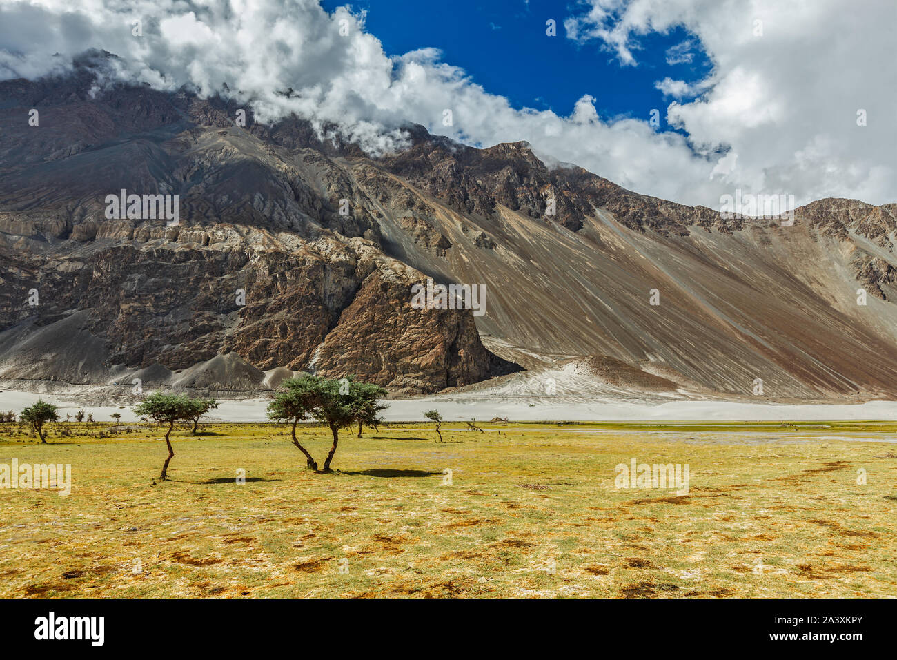 Landscape of Nubra valley. Hunber, Nubra valley, Ladakh, India Stock Photo