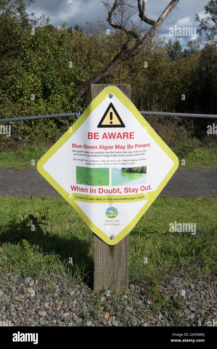 A sign warning of the presence of blue-green algae at Delta Ponds in ...