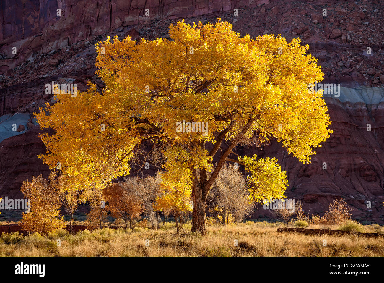 Us national historic park hires stock photography and images Alamy