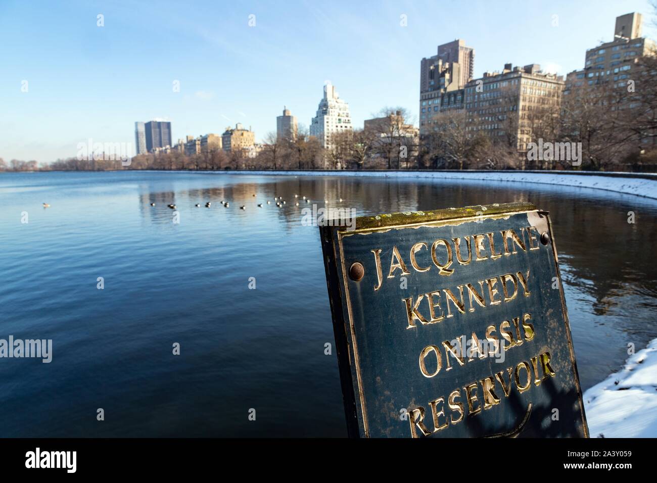 Kennedy Central Park Expert Concerns Over Wildlife Handling