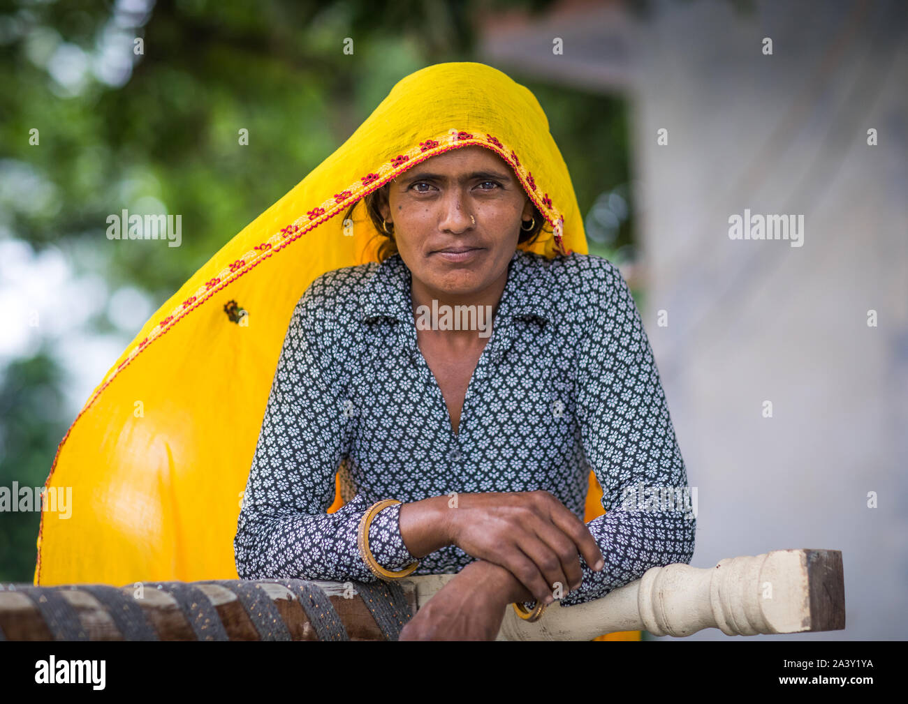 Portrait of a rajasthani woman in traditional yellow sari, Rajasthan ...