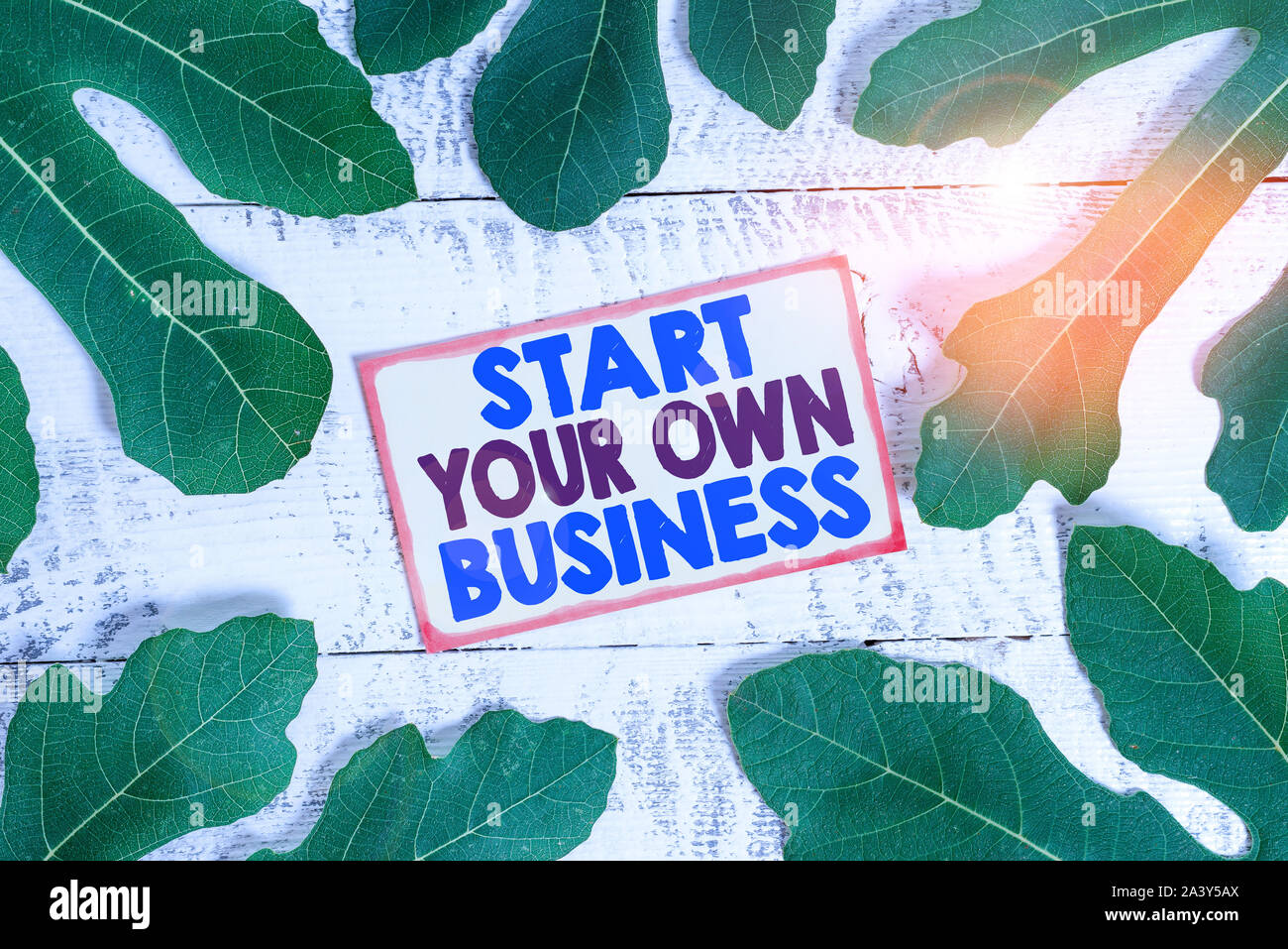Text sign showing Start Your Own Business. Business photo text Entrepreneurial Venture a Startup Enter into Trade Stock Photo