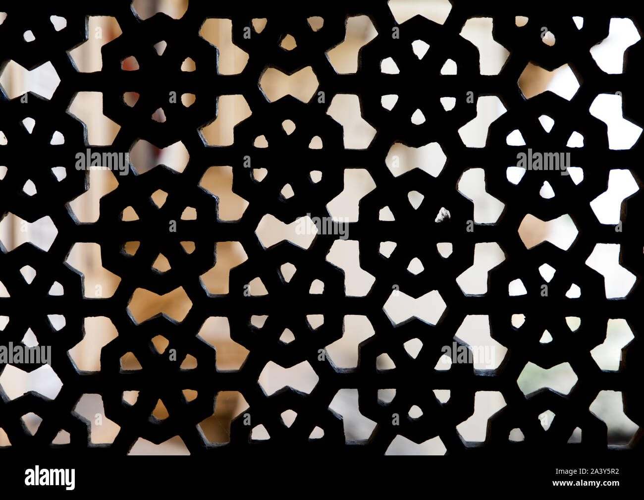 Jali window in the city palace, Rajasthan, Udaipur, India Stock Photo