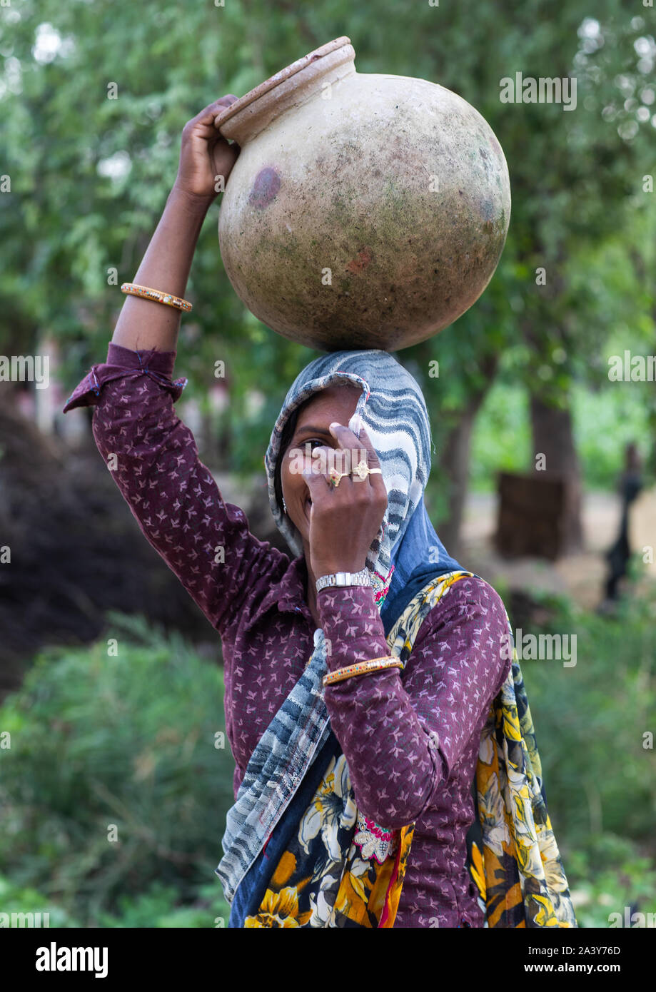 Portrait of a rajasthani woman in traditional sari carrying a jar on her head, Rajasthan, Baswa, India Stock Photo