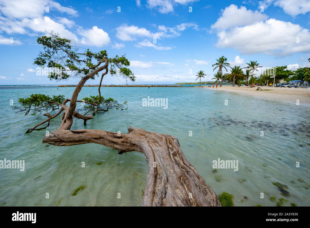 Martinique / France 04.09.2014. Panoramic view of Martinique beach Stock Photo