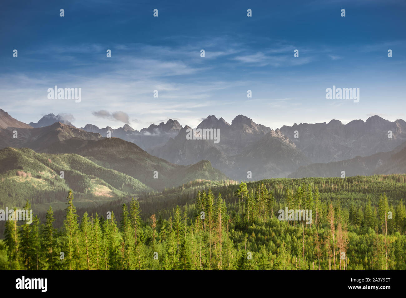 Tatra Mountains summits: Szeroka Jaworzynska, Gerlach, Konczysta, Ganek, Wysoka, Rysy, Zabi Kon, Wolowa Turnia, Mieguszowiecki Szczyt, Cubryna Stock Photo