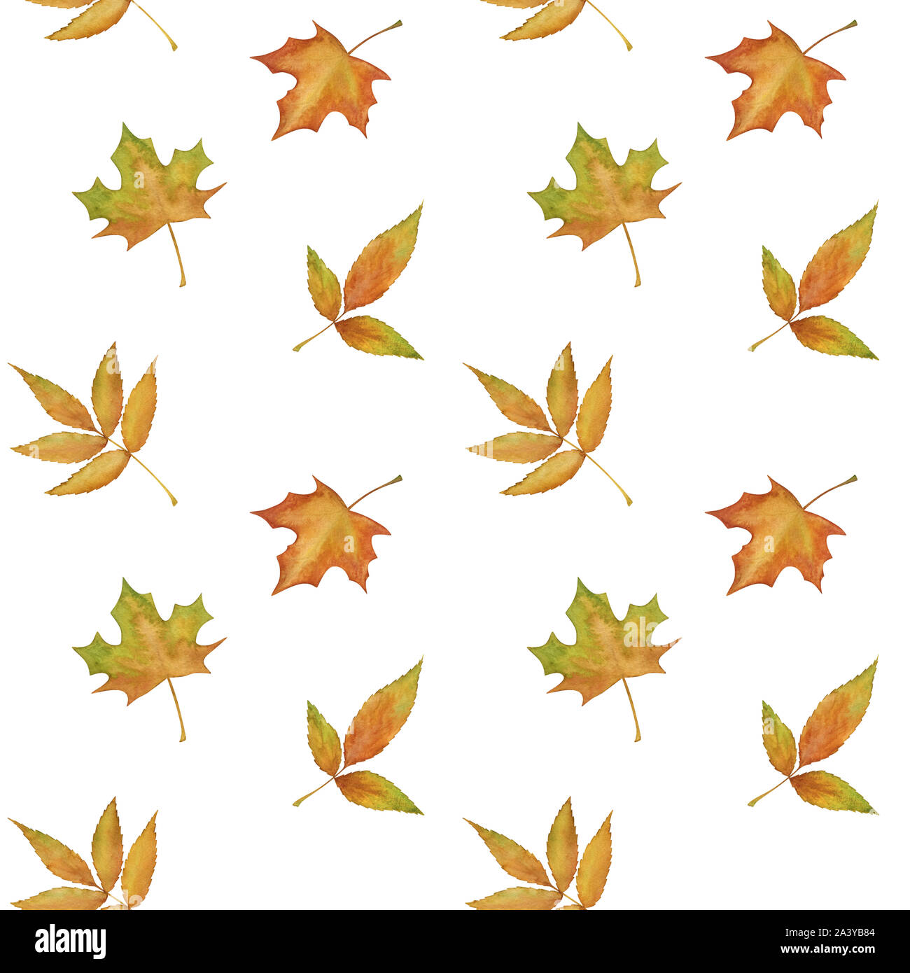 Hand drawn colorful autumn leaves seamless pattern Stock Photo - Alamy