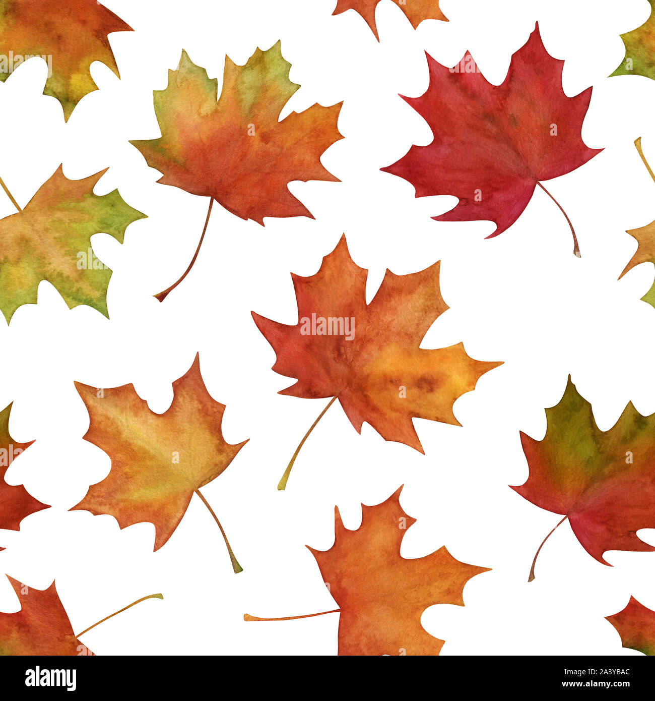 Hand drawn maple leaf hi-res stock photography and images - Alamy