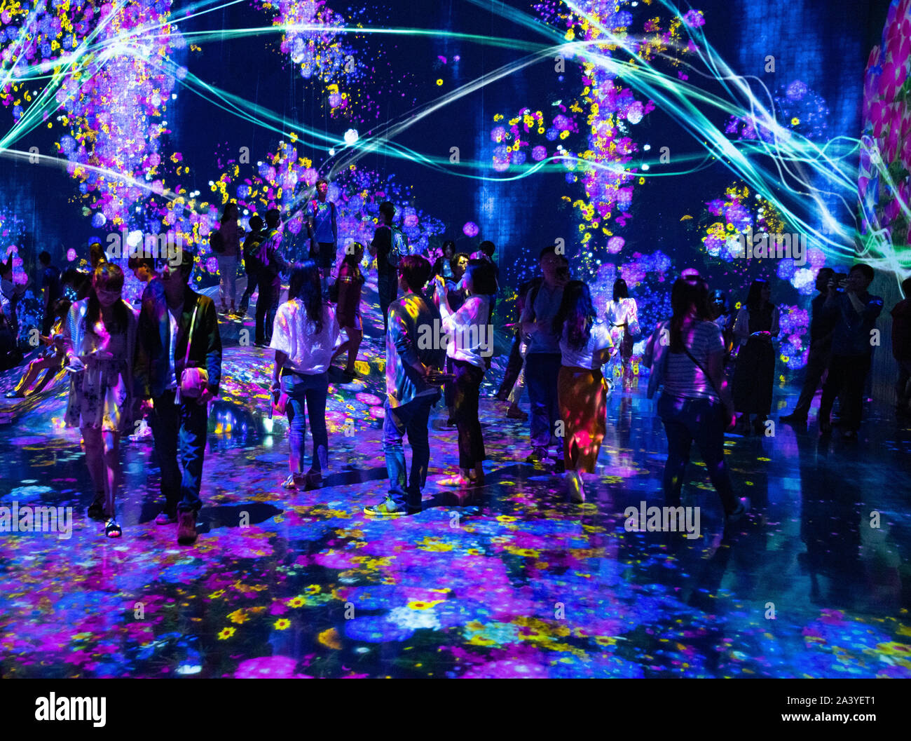 People exploring and enjoying borderless world digital art exhibition of teamLab at Mori Building, Odaiba, Tokyo, Japan. Stock Photo