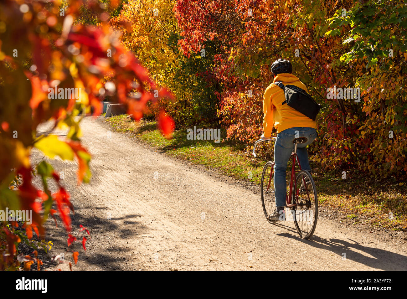 Cyclist riding a bike on Des Carrieres cycle path in Montreal, Canada Stock Photo