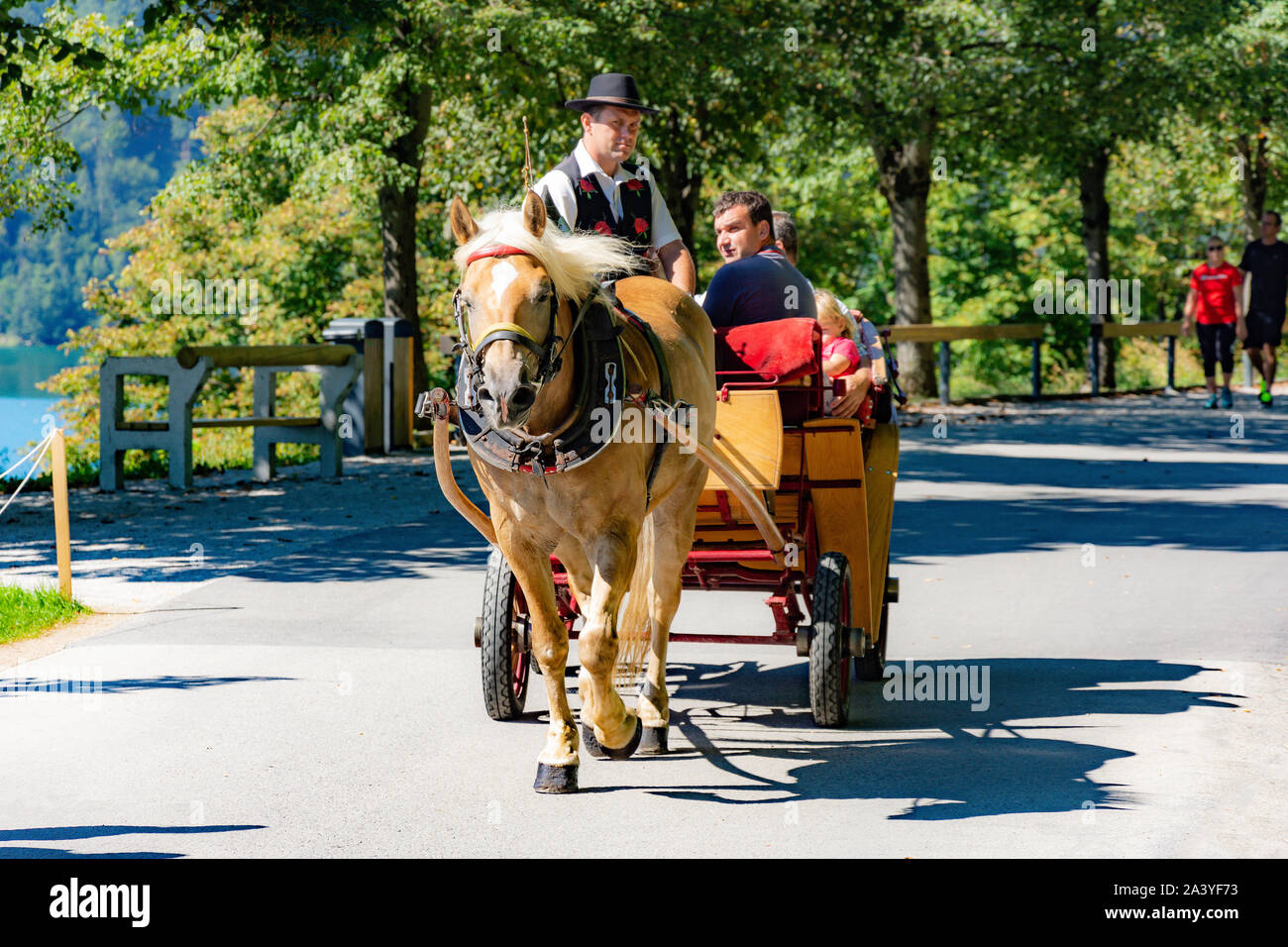 Horse carriage on Veslashka promenada, Lake Bled, Bled, Upper Carniola Region, Slovenia Stock Photo