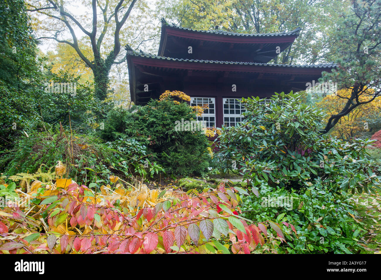 Japanese garden in leverkusen autumn hires stock photography and images Alamy