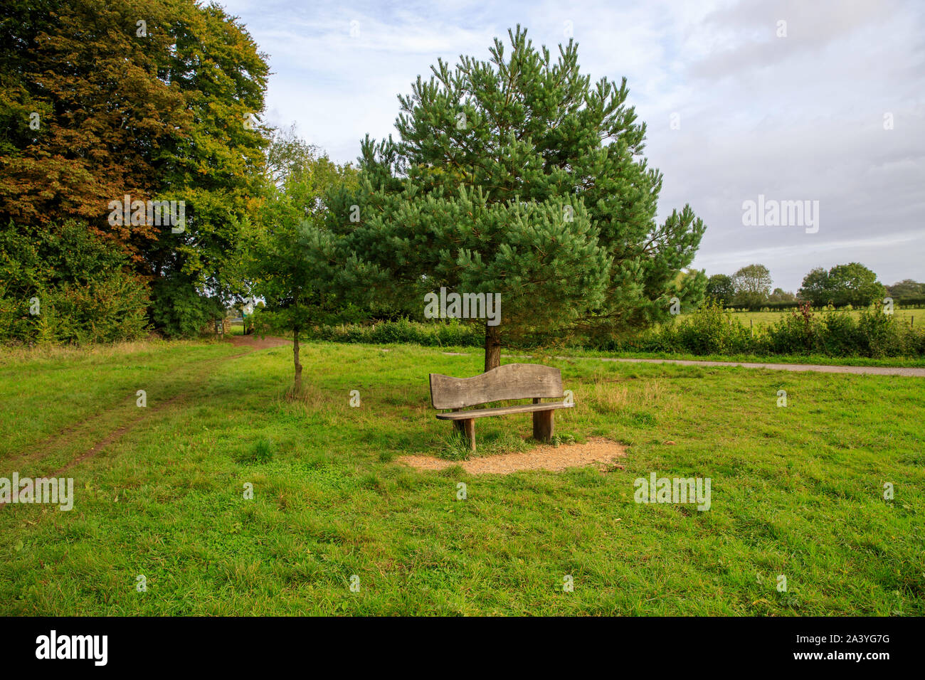 Wooden Bench on the Trail at National Trust Bath Skyline, Claverton