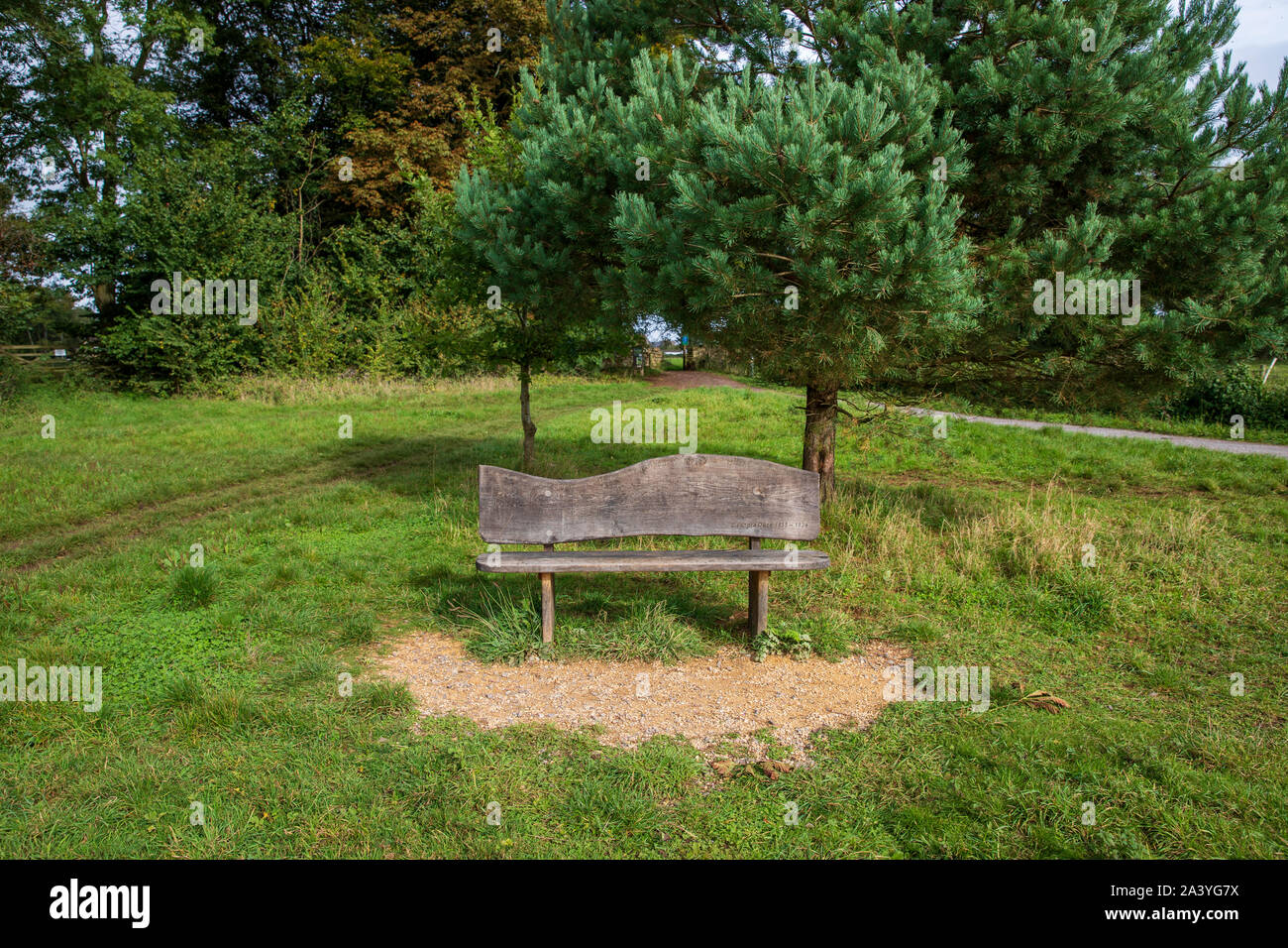 Wooden Bench on the Trail at National Trust Bath Skyline, Claverton