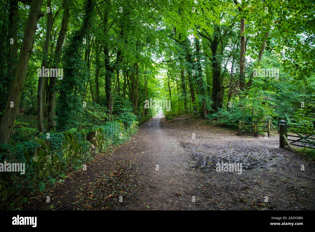 Rainbow woods bath hires stock photography and images Alamy