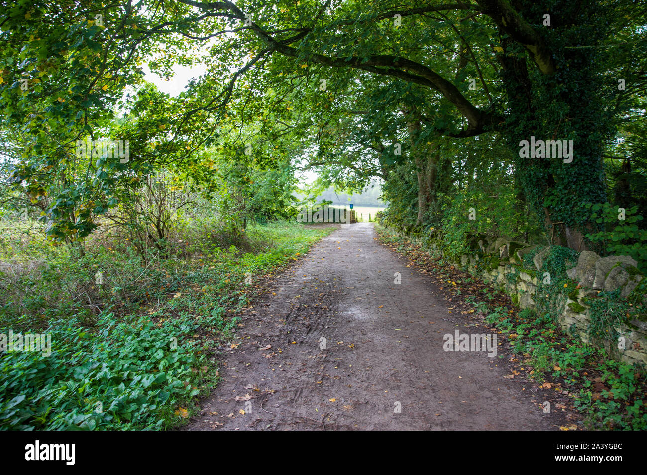 National Trust, Bath Skyline, Claverton Down Trail at Rainbow Woods
