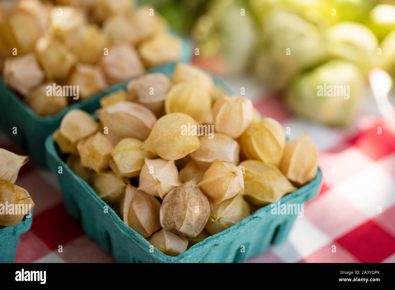 Tomatillos (Physalis philadelphica) or Mexican husk tomatoes for sale at a farmer's market in Lowell, Massachusetts, USA. Stock Photo