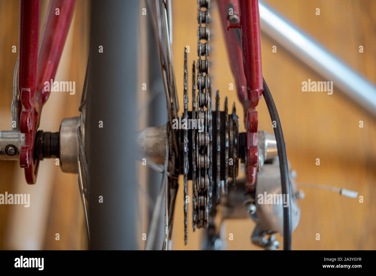 Close up view of Road Bicycle cassette looked from the back. Red bicycle with isolated cassette Stock Photo