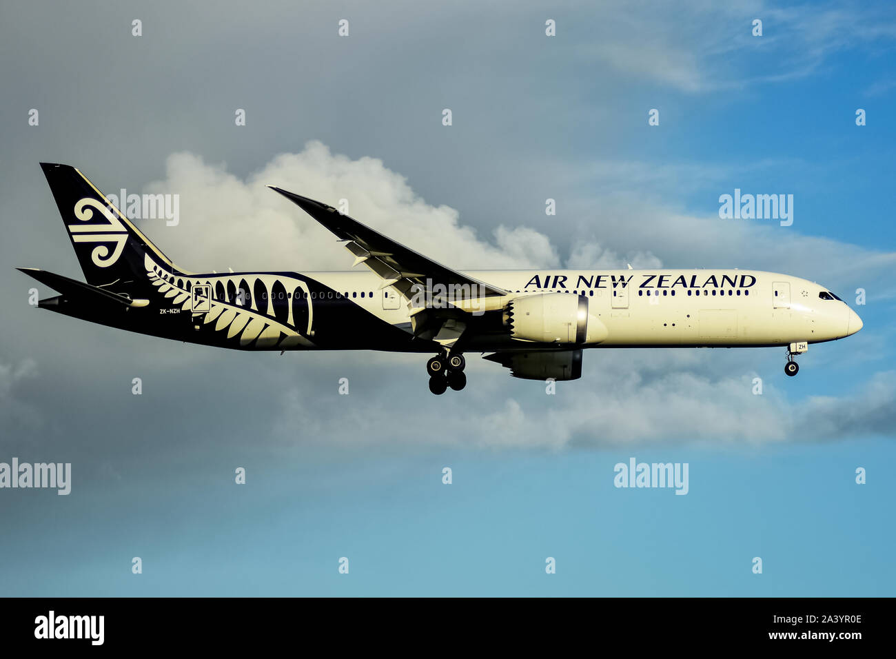 Air New Zealand, Boeing 787, Landing at Auckland International Airport Stock Photo