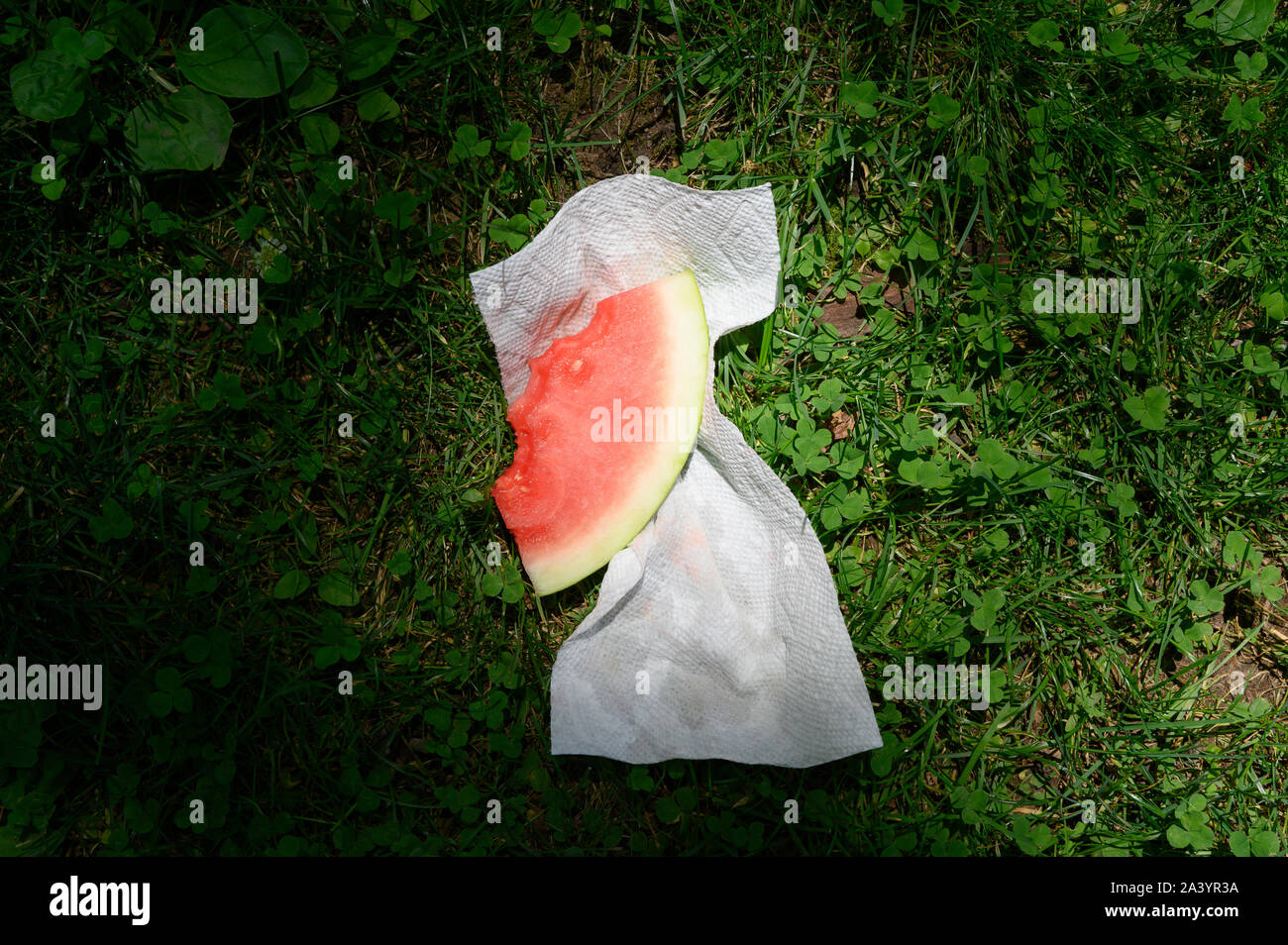 Slice of watermelon with napkin on grass Stock Photo