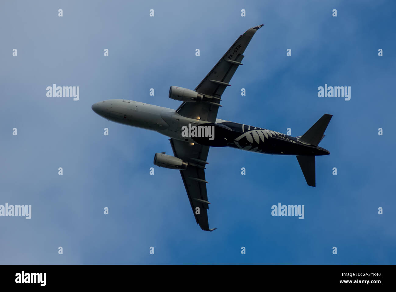 Air New Zealand, Airbus A320, Flying over Auckland City, New Zealand