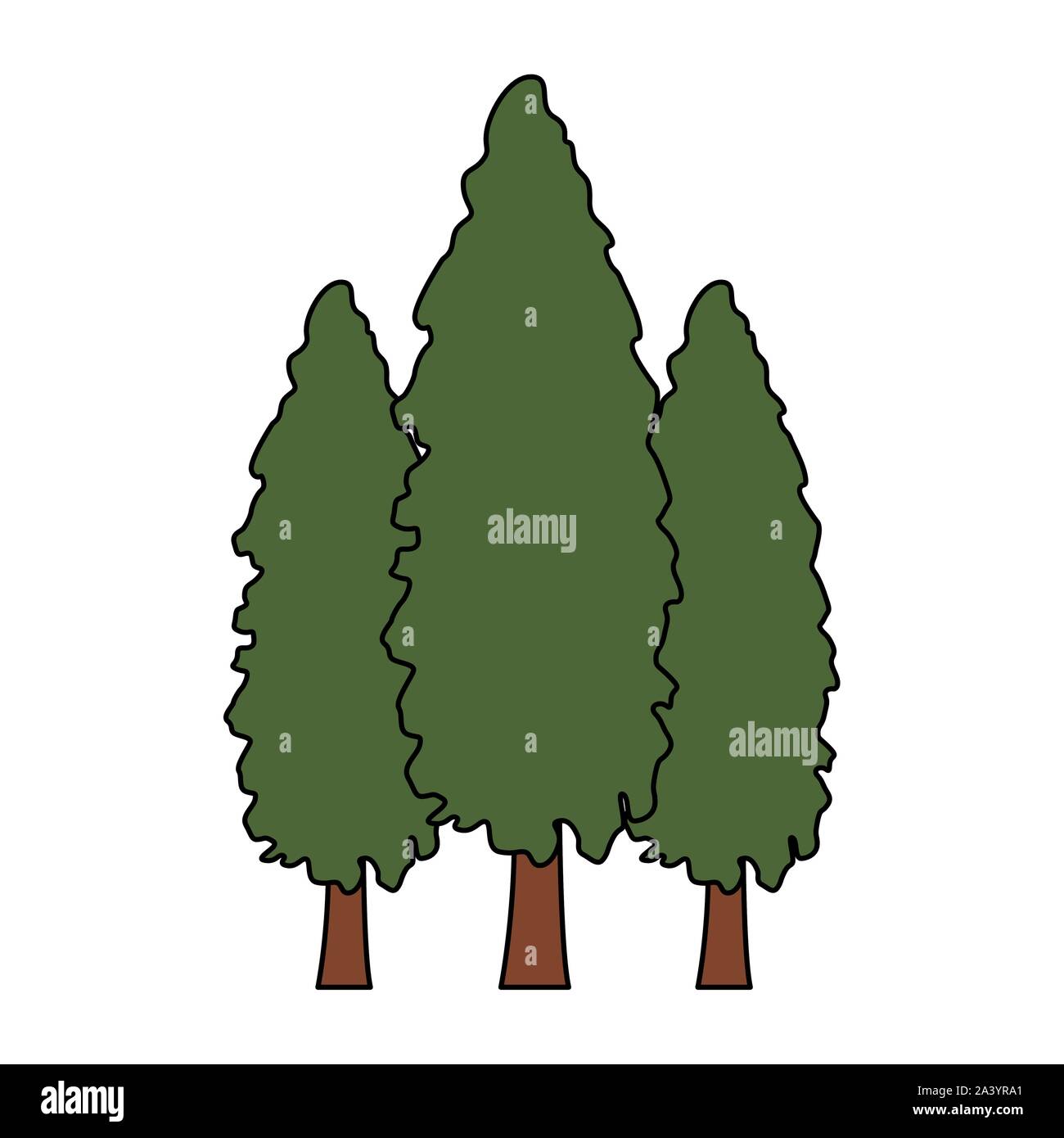 Pines pine trees Stock Vector Images Alamy