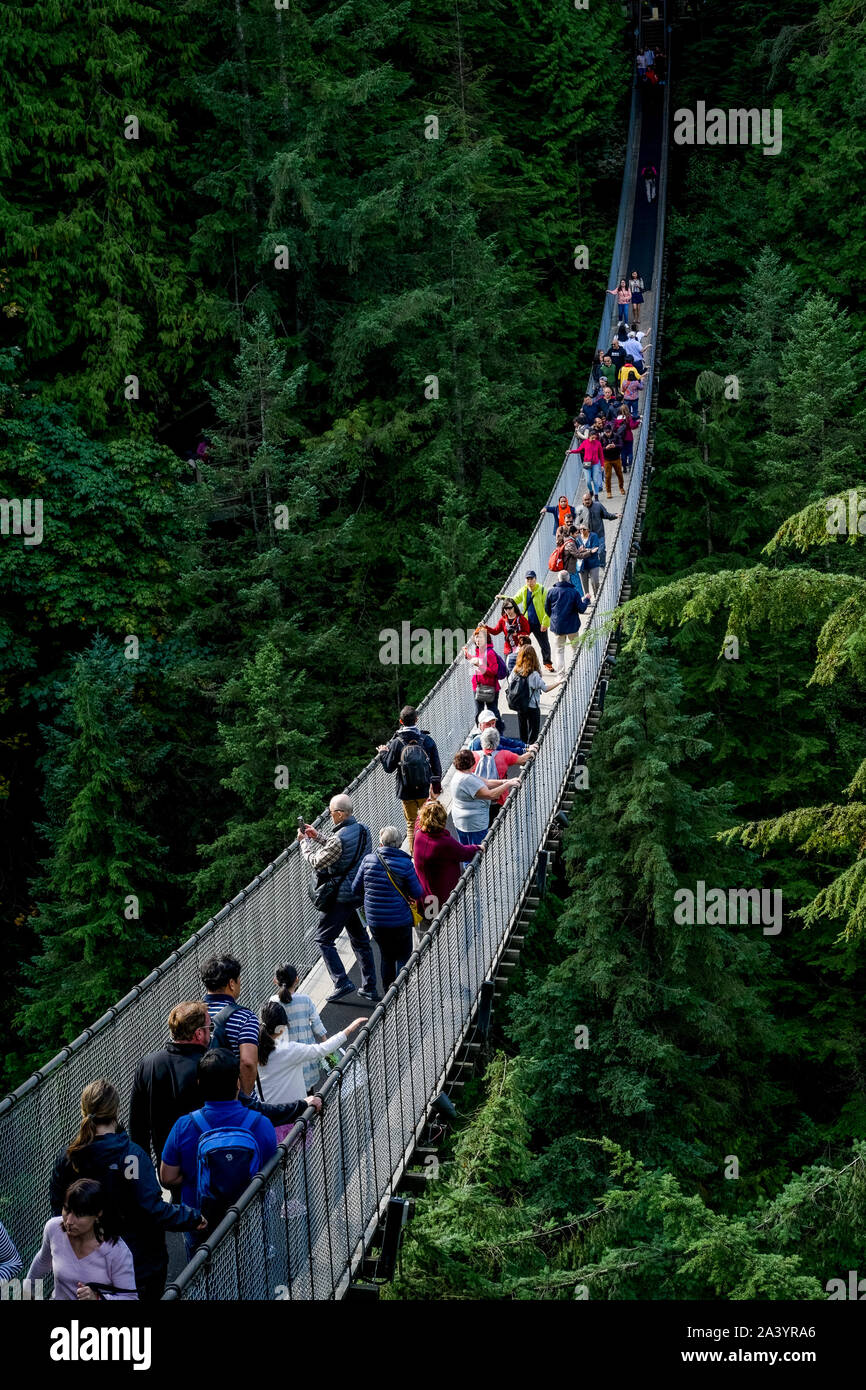 Capilano Suspension Bridge Park, North Vancouver, British Columbia, Canada Stock Photo