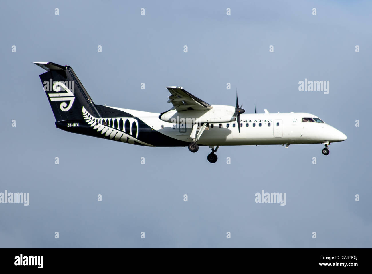 航空機・ヘリコプター BOMBARDIER DASH 8 Q300 AIR NEW ZEALAND Air New Zealand Dash-8 Q300: Back in Black! - YouTube