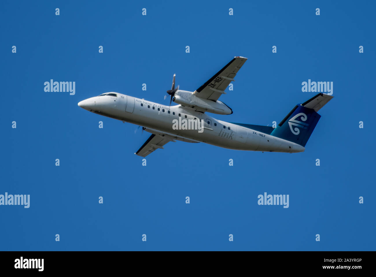 航空機・ヘリコプター BOMBARDIER DASH 8 Q300 AIR NEW ZEALAND Inside Air New Zealand's World-Leading Dash 8-Q300 Operations