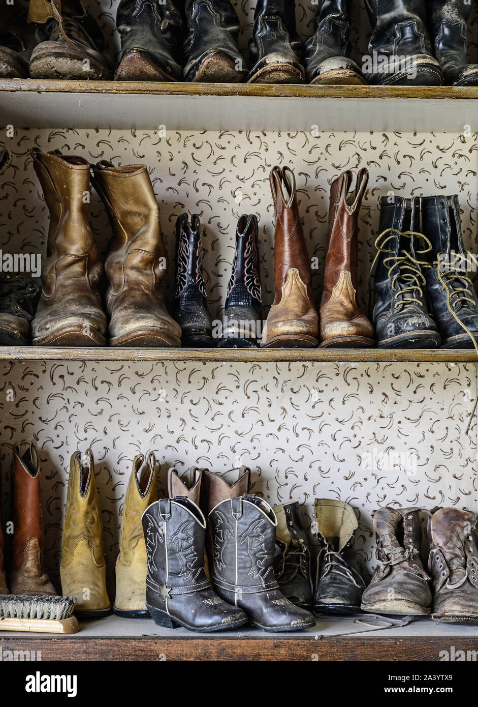 Shelves of cowboy boots Stock Photo Alamy