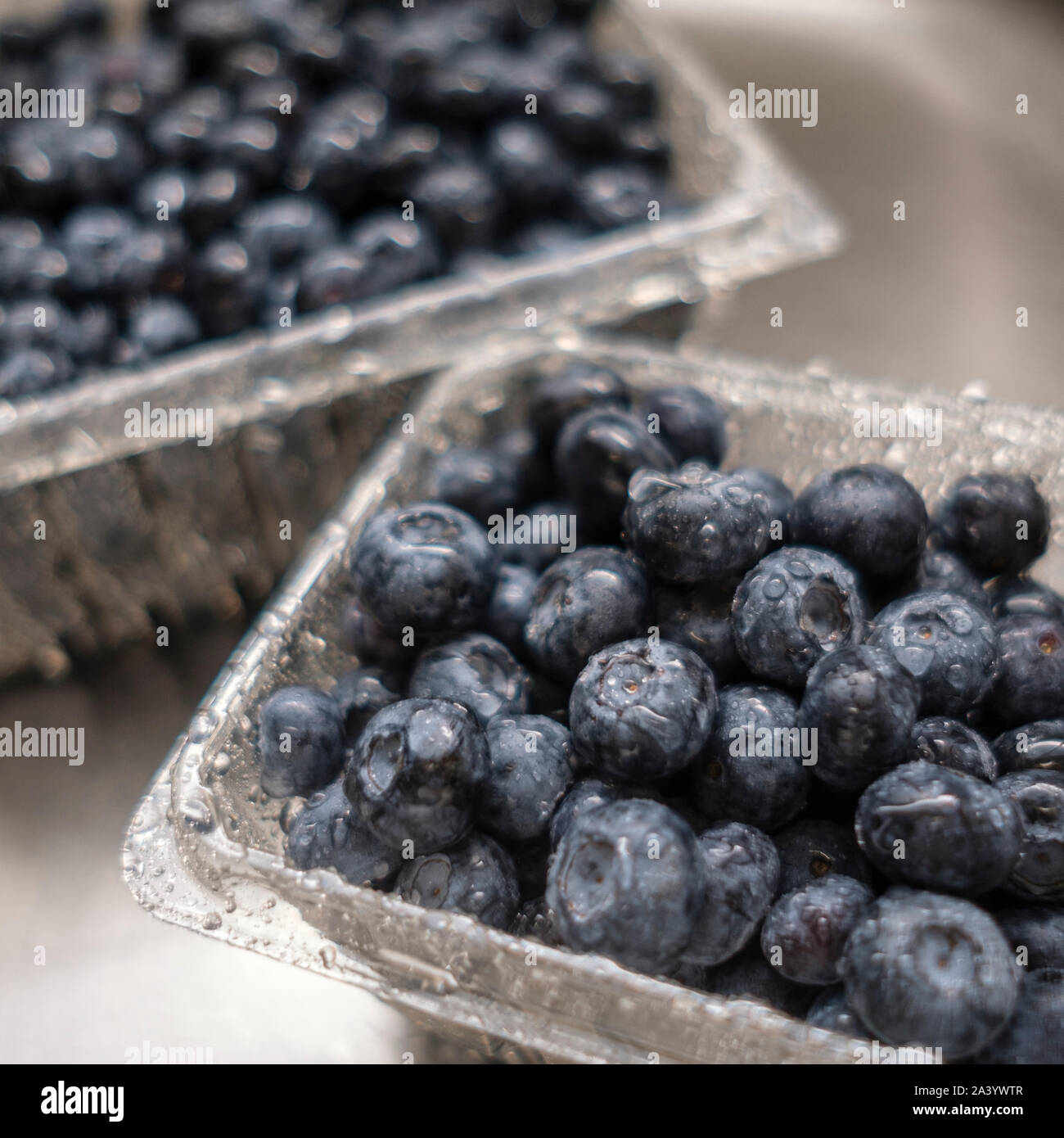 Wet blueberries in sink Stock Photo Alamy