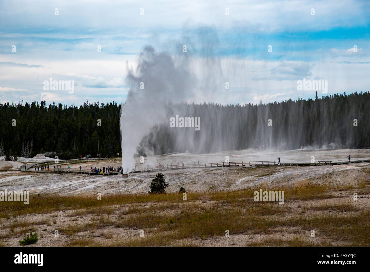 Beehive geyser during an eruption in the upper geyser basin Yellowstone Stock Photo
