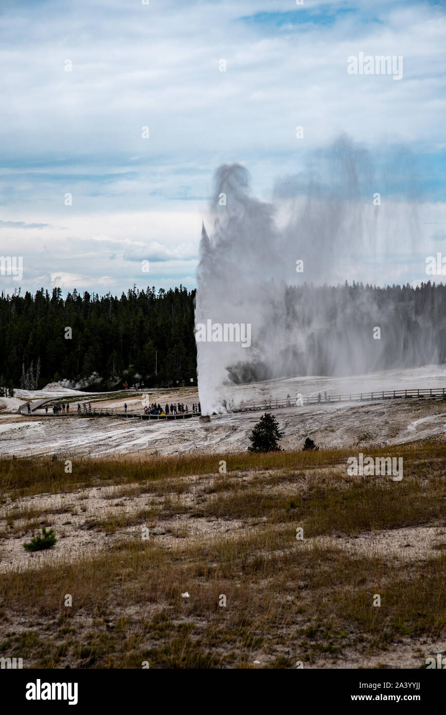 Beehive geyser during an eruption in the upper geyser basin in Yellowstone Stock Photo