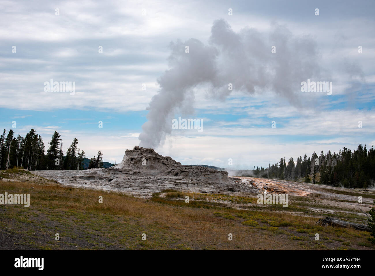 Castle geyser before an eruption in the upper geyser basin in Yellowstone Stock Photo