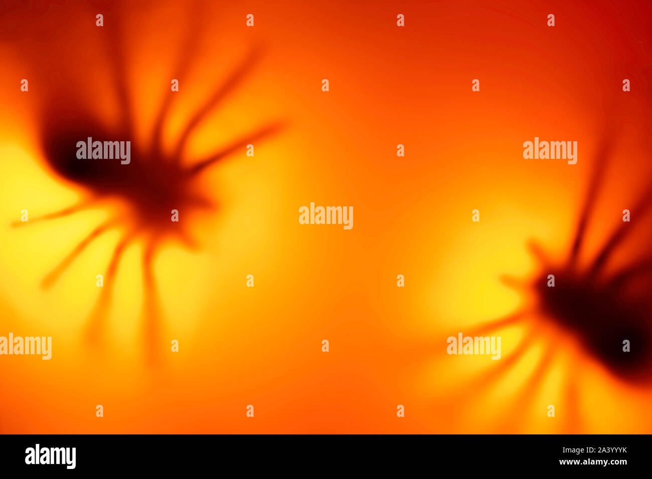 Blurred huge, black, scary, spooky Halloween spiders on a bright orange defocused backdrop Stock