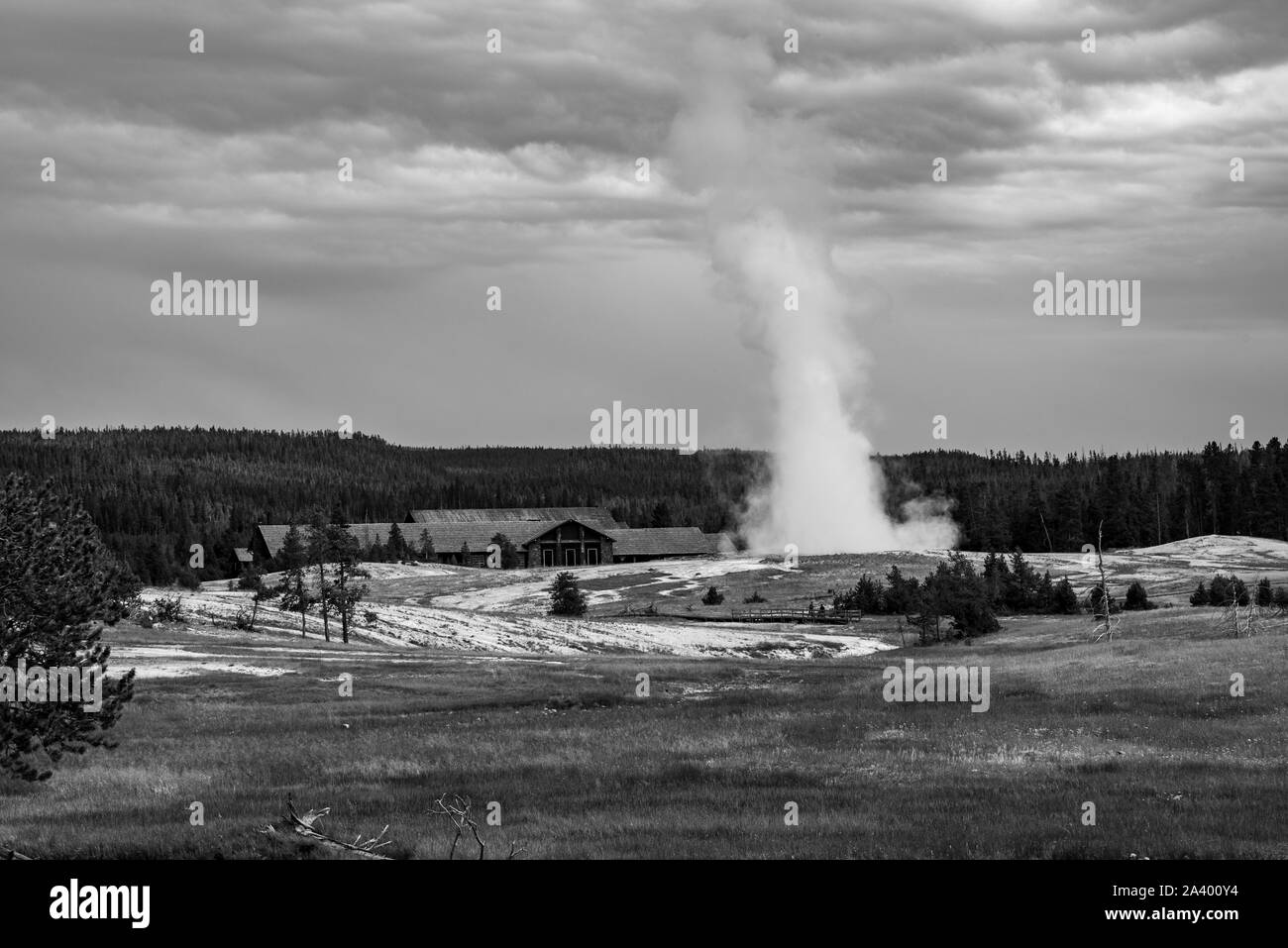 Old faithful geyser in Yellowstone national park during an eruption, in black and white Stock Photo