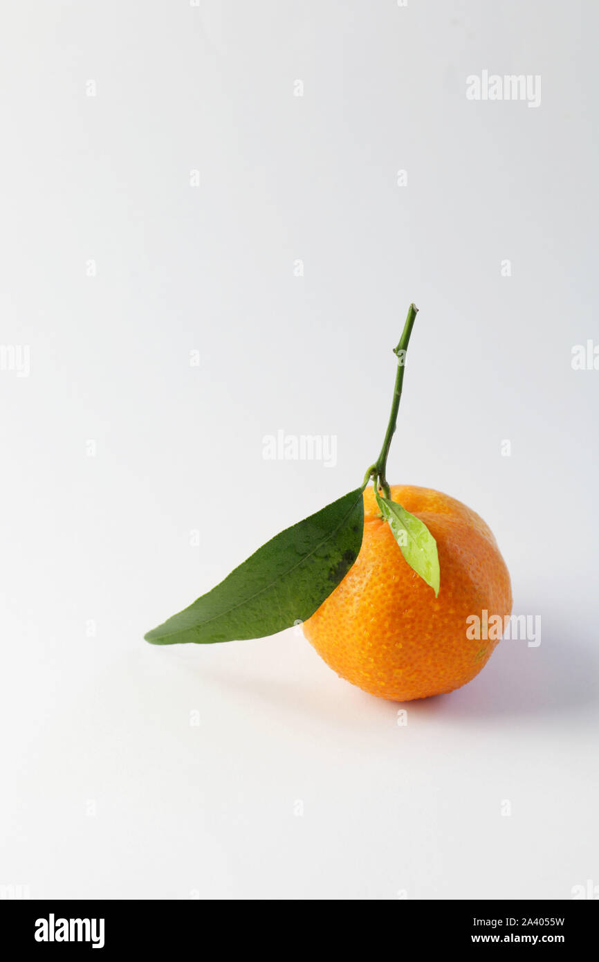 Close up of single fresh mandarin isolated on white background Stock Photo