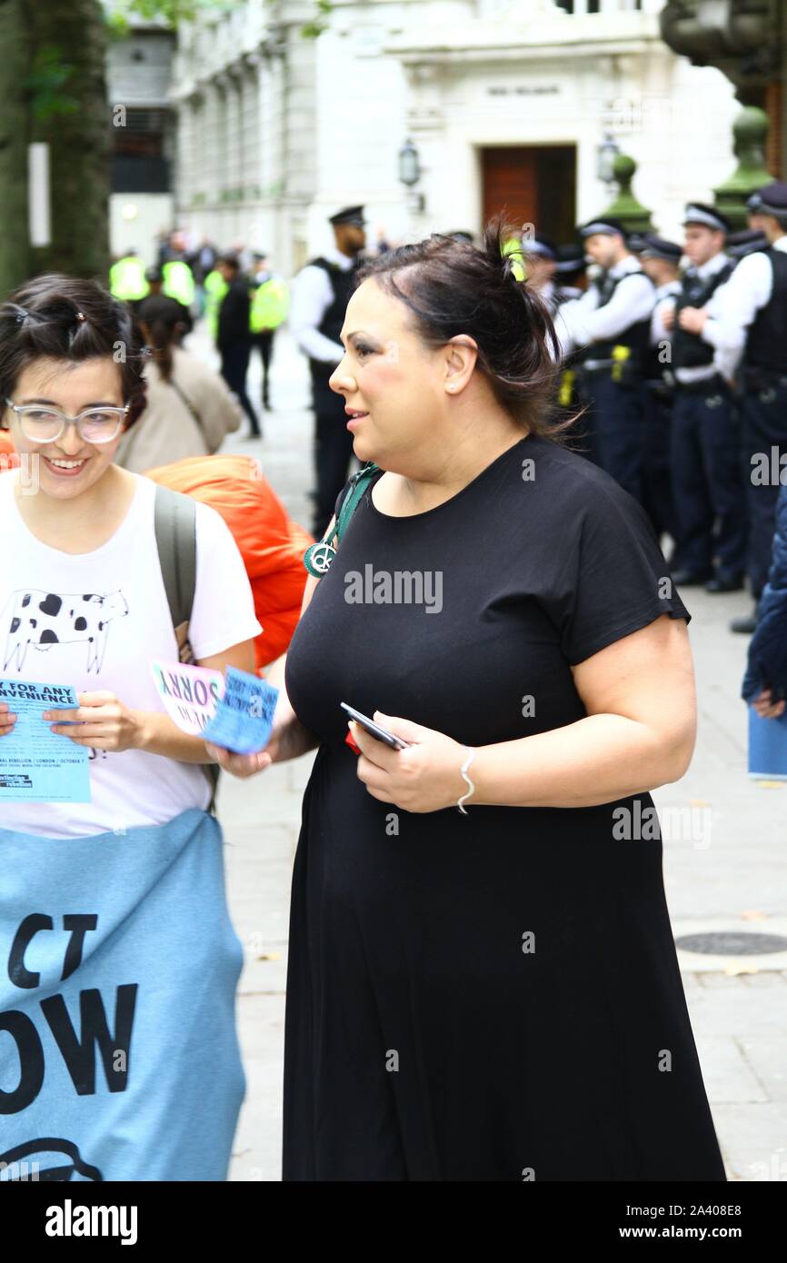 PAULA SHERRIFF MP COLLECTING A LEAFLET FROM AN EXTINCTION REBELLION CAMPAIGNER IN WESTMINSTER ON 8TH OCTOBER 2019. Paula is member of parliament for Dewsbury constituency. Paula is a member of the Labour party. British politicians. Labour party MPS. Stock Photo