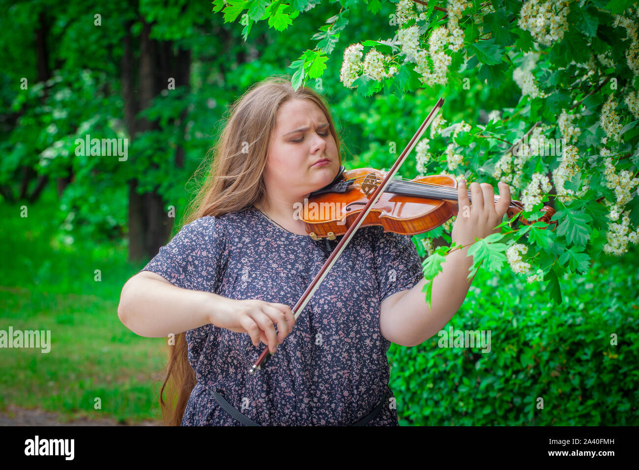 To play the violin. Young girl with a musical instrument. Beautiful woman  plays the violin Stock Photo - Alamy